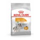 Royal Canin Coat Care Hundefutter für Mini-Rassen, das ein gesundes und glänzendes Fell fördert, mit Ergebnissen in 28 Tagen.