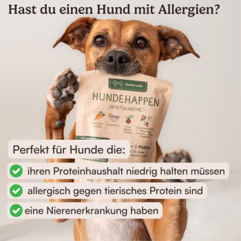 Eine Person kniet auf einem mit Blättern bedeckten Weg und füttert einen goldenen Hund mit einer Tüte, die mit "Optimal für Allergiker" beschriftet ist und verschiedene Gesundheitsansprüche zeigt.