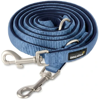 Aufgewickelte hellblaue Nylon‑Hundeleine mit zwei silbernen Wirbelkarabinern und schwarzem Etikett mit Aufschrift „RUDELKÖNIG“.