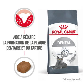 Sac de nourriture pour chats Royal Canin Dental, présentant un chat gris, avec un texte indiquant qu'il aide à réduire la formation de plaque et de tartre jusqu'à 59%.