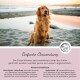 Ein Golden Retriever sitzt am Strand bei Sonnenuntergang, mit einem Text darunter auf Deutsch, der Dosierungsempfehlungen für Haustier-Tropfen beschreibt.