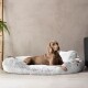 Ein entspannter brauner Hund, der auf einem flauschigen grauen Hundebett in einem modernen Raum mit einer Pflanze und einem schwarzen Stuhl im Hintergrund liegt.