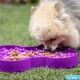 Kleiner flauschiger Hund frisst aus einem lila Slodog Mini Slow Feeder auf Gras mit sichtbarem Trocken- und Nassfutter.
