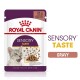 Royal Canin Sensory Taste cat food pouch, 85g, featuring chunks in gravy, with an image of a cat enjoying the food.