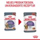 Bild von zwei Royal Canin Appetite Control Katzenfutterbeuteln, die ein neues Design mit dem Text "PROVEN RESULTS 90%" zeigen.