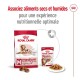 Medium Ageing 10+ en sauce 10x140 g