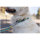 Nahaufnahme des Halses eines Golden Retrievers mit einem bunten Halsband und einer Leine, die das flauschige Fell und den glücklichen Ausdruck des Hundes zeigt.