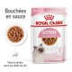 Kitten en sauce 12x85 g
