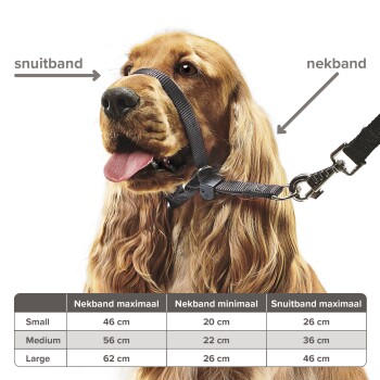 Een gouden cocker spaniel in een zwarte harnas gelabeld "snuittband" en "nekband," met een maattabel voor kleine tot grote maten eronder.