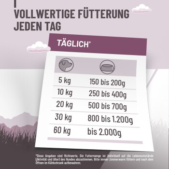 Infografik mit täglichen Fütterungsempfehlungen für Hunde basierend auf dem Gewicht, mit Angaben in Gramm für verschiedene Hunderassen.