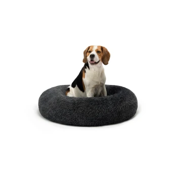 Donutbett dunkelgrau XXL Ein Beagle sitzt bequem in einem plüschigen, runden, dunkelgrauen Hundebett, das seine weiche Textur und sein gemütliches Design zeigt.