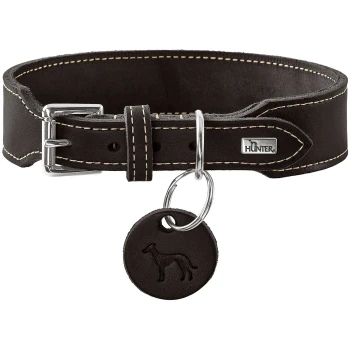 Dunkelbraunes Lederhalsband mit kontrastfarbiger Naht, silberner Schnalle, rundem geprägtem Hundemarkenanhänger und Metallplatte mit HUNTER-Logo.