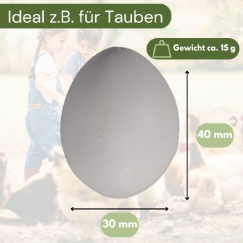 Weißes künstliches Ei mit Pfeilen, die 30 mm × 40 mm zeigen, und sichtbarem Text "Ideal z.B. für Tauben" und "Gewicht ca. 15 g".