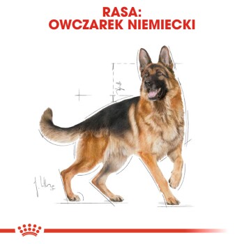 Royal canin adult german shepherd shop