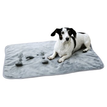 Ein schwarz-weißer Hund, der auf einer weichen grauen Haustierdecke liegt, mit kleinen Plüschspielzeugen, die in der Nähe verstreut sind.