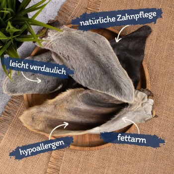 Eine Holzschüssel mit Hundekauartikeln, beschriftet auf Deutsch: "natürliche Zahnpflege", "leicht verdaulich", "hypoallergen" und "fettarm."