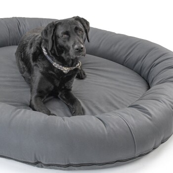 Ein schwarzer Labrador, der auf einem großen, runden, grauen Hundebett ruht und mit einem ruhigen Ausdruck direkt in die Kamera schaut.