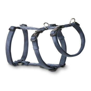 Blaues verstellbares Nylon-Hundegeschirr mit schwarzen Kunststoffschnallen und Metall-D-Ringen, freigestellt auf weißem Hintergrund.