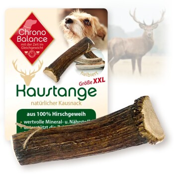Rothirsch Geweihstange Halbiert 180 g