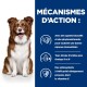 Image d'un chien avec un texte mettant en avant le soutien immunitaire, les acides gras oméga-3 et 6 élevés, et des antioxydants cliniquement prouvés, y compris la vitamine E.