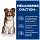 Image d'un chien avec un texte mettant en avant le soutien immunitaire, les acides gras oméga-3 et 6 élevés, et des antioxydants cliniquement prouvés, y compris la vitamine E.