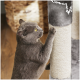 Eine graue Katze mit gelben Augen kratzt verspielt an einem beige-grauen Kratzbaum in einer gemütlichen Innenumgebung.