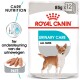 Royal Canin Urinary Care hondenvoer, 85g x 12 verpakkingen, met een hondenillustratie en tekst in het Nederlands over urineondersteuning.