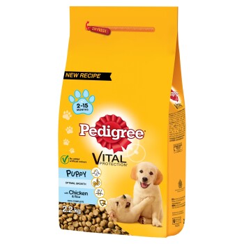 pedigree maxi junior