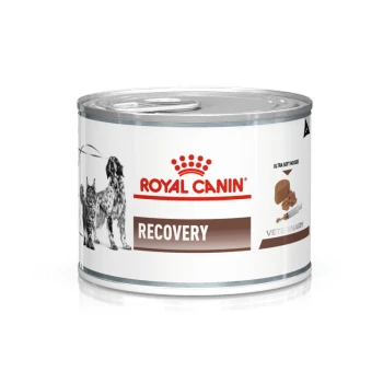 Nourriture vétérinaire en conserve Royal Canin Recovery pour chiens, avec une étiquette blanche portant un logo de couronne et des images d'un chien et d'un chat.