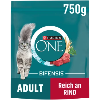 Purina ONE Bifensis Adult Katzenfutter 750g mit Bild einer grauen getigerten Katze und Rindfleischstücken auf türkisfarbener Verpackung.