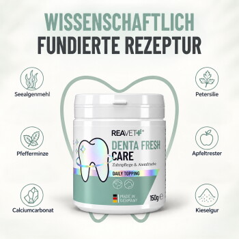 Denta Vital Pulver für Hunde, 150g Behälter, hebt Vorteile wie 100% natürliche Zutaten, effektive Zahnreinigung und einfache Dosierung hervor.