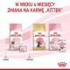 Obraz produktów karmy dla kociąt Royal Canin: "Mother & Babycat", "Maine Coon" i "Kitten", podkreślający przejście dietetyczne w wieku 4 miesięcy.