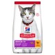 Science Plan Senior 11+ au poulet 3 kg