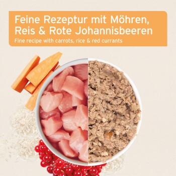 LandChicken Huhn mit Möhren 6x400 g
