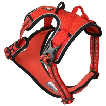 Red dog harness with adjustable straps and a sturdy buckle, featuring a padded interior for comfort.