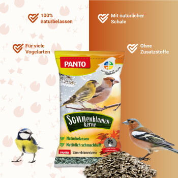 PANTO-Sonnenblumenkerne-Sack mit Vögeln und einem Haufen Sonnenblumenkerne; sichtbarer Text: '100% naturbelassen', 'Für viele Vogelarten'.