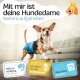 Beagle in einer grünen Windel, die Merkmale zeigt: "Komfort für Hündinnen", "absorbierend", "5 Größen", "3 Anpassungen", "weiche Innenauskleidung."