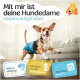 Beagle in einer grünen Windel, die Merkmale zeigt: "Komfort für Hündinnen", "absorbierend", "5 Größen", "3 Anpassungen", "weiche Innenauskleidung."