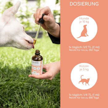 Eine Person gibt einem weißen Hund mit einer Pipette Lachsöl, neben einer Flasche mit der Aufschrift "Lachsöl Salmon Oil" auf dem Gras.