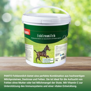 Behälter mit PANTO Fohlenmilch, einem Fohlenmilchersatz, mit einem galoppierenden Fohlen auf dem Etikett, mit Text, der seine Vorteile und Zutaten beschreibt.
