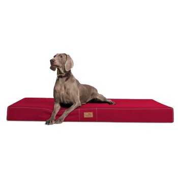 ® HUGO Ortho Plus Orthopädische Hundematratze dunkelrot 1 m, 13 cm, 80 cm