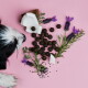 Ein neugieriger schwarz-weißer Hund schnüffelt an einem umgekippten Behälter mit runden, dunklen Haustiersnacks auf einem rosa Hintergrund. Der Behälter ist mit "Z-SNACK" beschriftet.