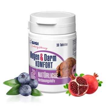Gigi Magen & Darm Komfort Ergänzungsmittel für Hunde, enthält 30 Tabletten, mit Heidelbeeren und Granatapfel daneben.