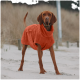Ein brauner Hund trägt einen orangefarbenen, kapuzenförmigen Haustiermantel und steht an einem sandigen Strand, mit hohem Gras und einem Holzzaun im Hintergrund.