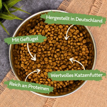 Hände halten einen Haufen brauner Haustierfutter-Kibble, mit einem Abzeichen, das 'Bewährte Qualität seit über 15 Jahren' und 'Beste Qualität' angibt.