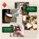 Collage von Hunden mit einem hölzernen Milcheimer. Text-Höhepunkte: "Alternative zu Möbeln/Schuhen" und "Unterstützt die Zahnpflege."