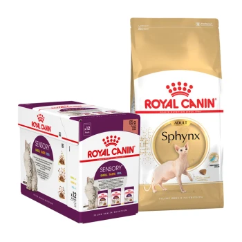 Emballage de nourriture pour animaux Royal Canin présentant une boîte de 12 sachets étiquetés "Sensory" et un sac de nourriture pour chat "Adult Sphynx".