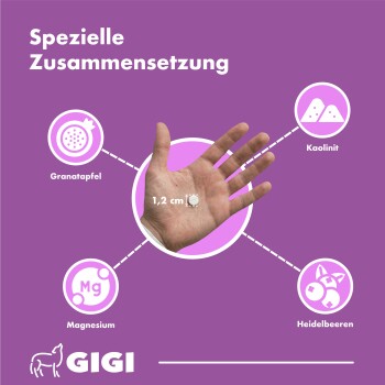 Fütterungsempfehlung für kleine Hunde/Katzen: Bis 2 kg: 1 Tablette, 2-4 kg: 2 Tabletten, über 4 kg: 3 Tabletten, 3x täglich. Gigi-Logo unten.