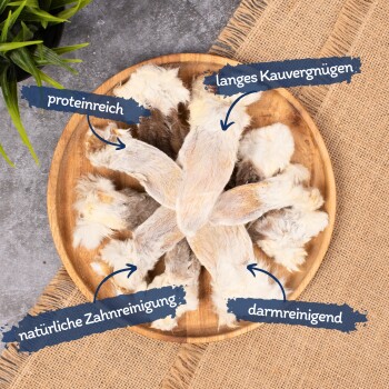 Ein Holzbrett zeigt natürliche Hundekauartikel, die für Vorteile beschriftet sind: hoher Proteingehalt, langlebig, natürliche Zahnreinigung und Darmreinigung.