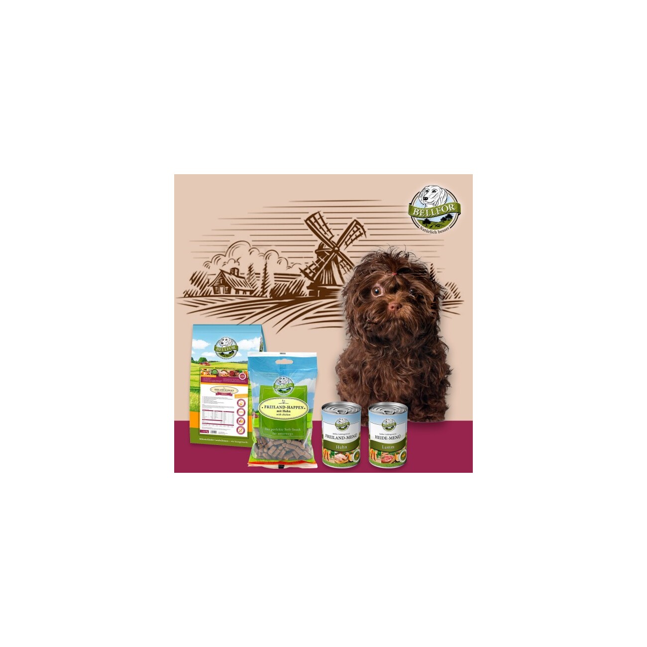 kudde hundebett erfahrungen Sabro Hundebett KUDDE Cord mit Spezial Kern von Sabro – Marigin Onlineshop main image 0